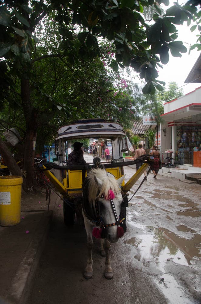 One of the traditional taxis on the island