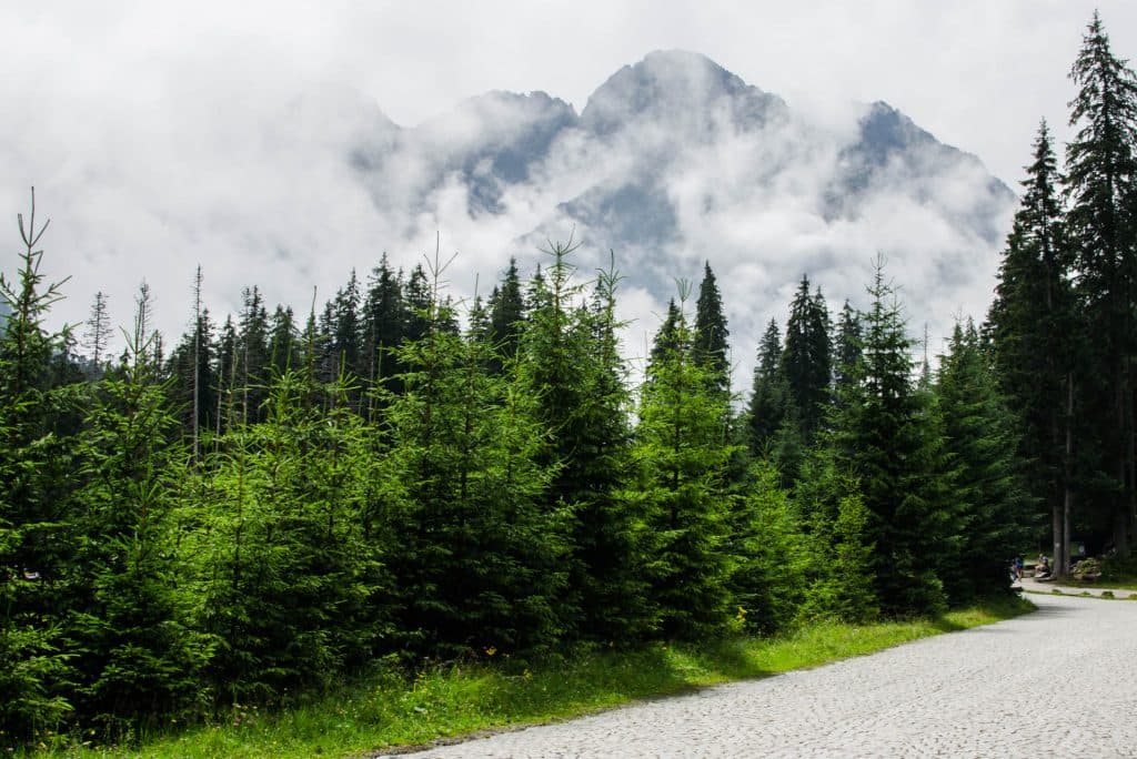 hiking in the polish mountains 