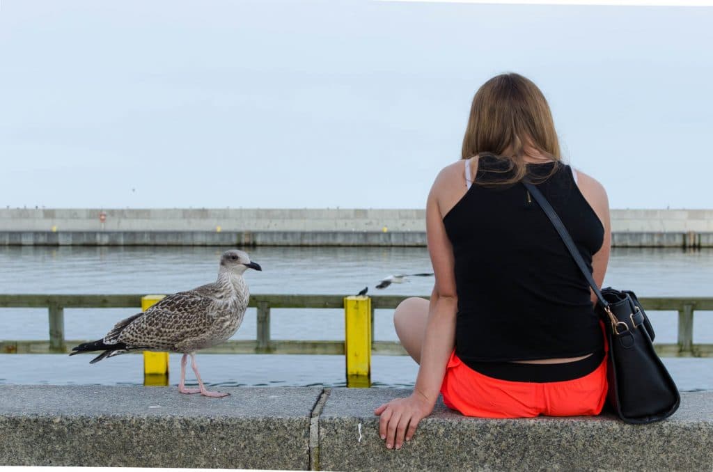 gdynia-kosciuszko-square-seagull-girl