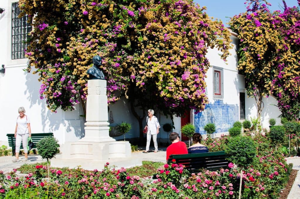 the garden in Miraduro de Santa Luzia