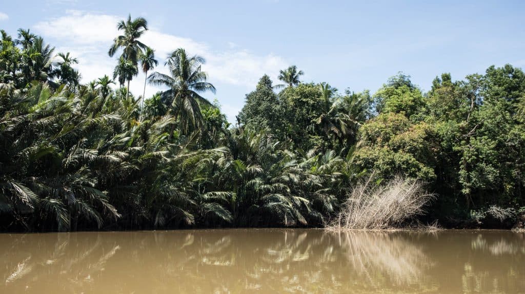 las naokolo kanalu w trat w tajlandii