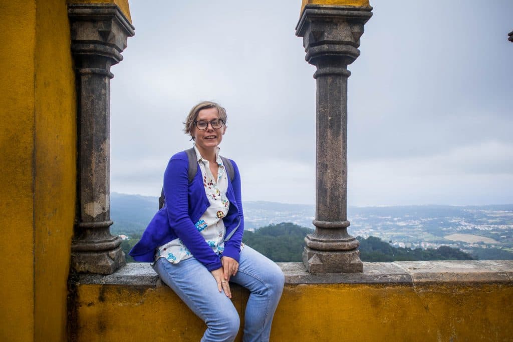 viewpoint in pena palace 