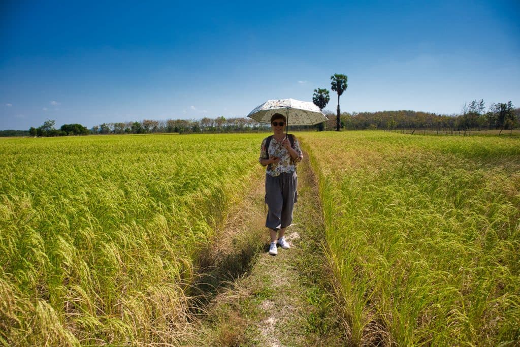 a foreign woman dressed in a flowery blouse stands among rice fields carrying an umbrella. 