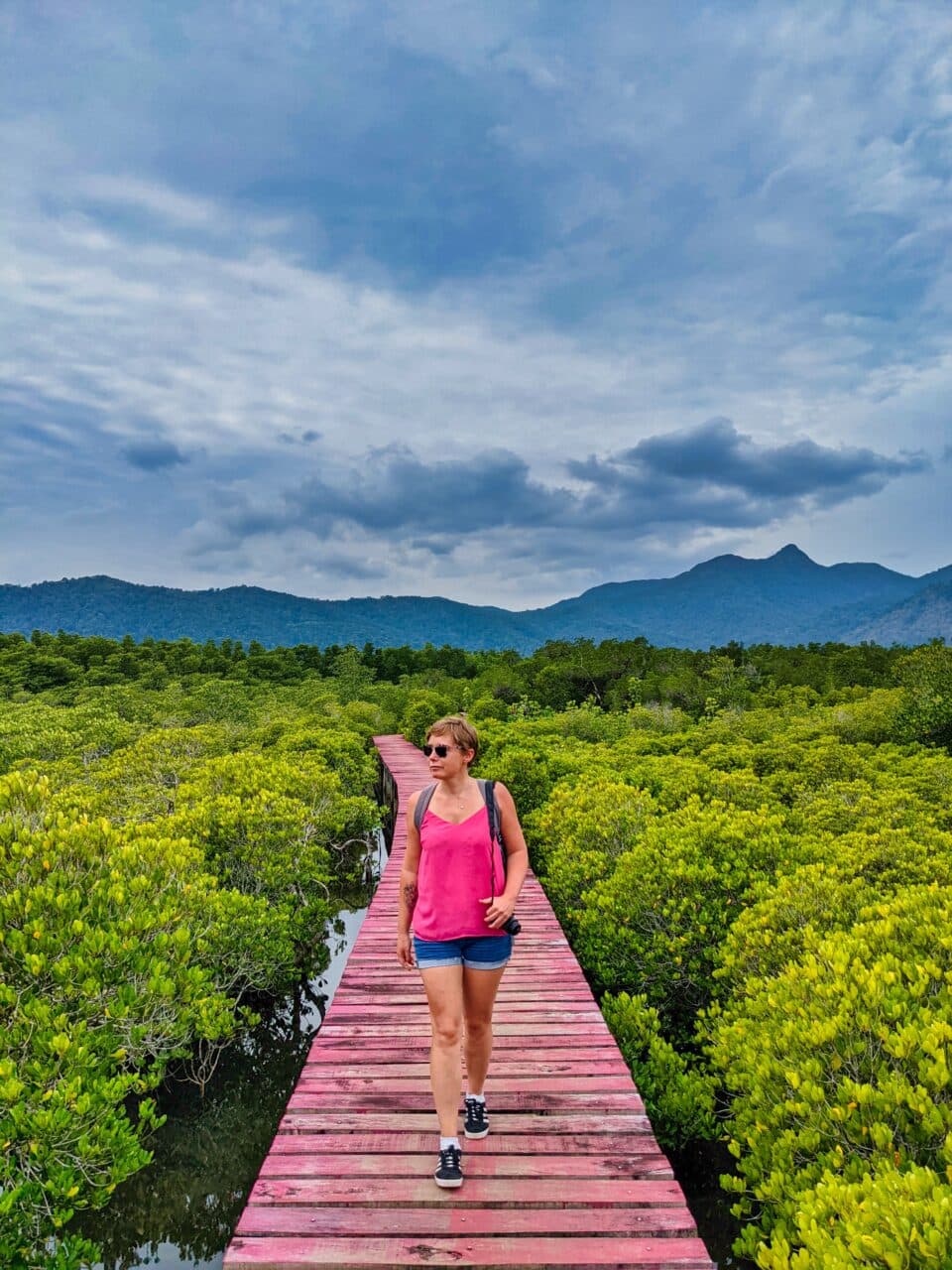 kobieta idzie po lesie namorzynu na koh chang w tajlandii.