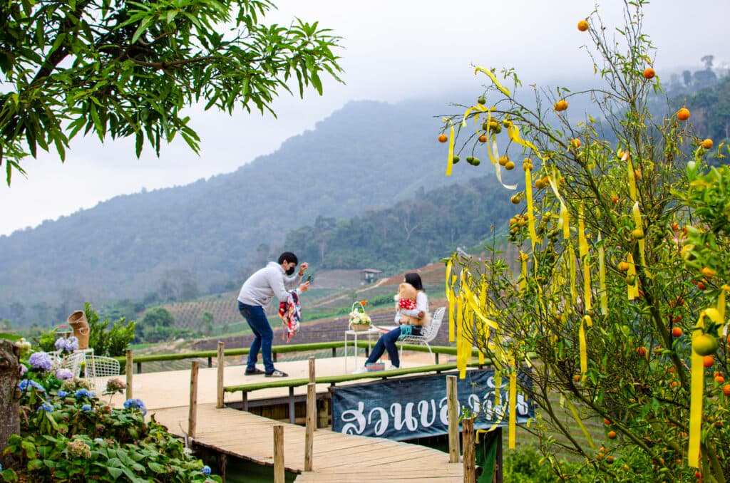 Para z psem robi sobie zdjęcia w gaju mandarynkowym w Chiang Mai. 