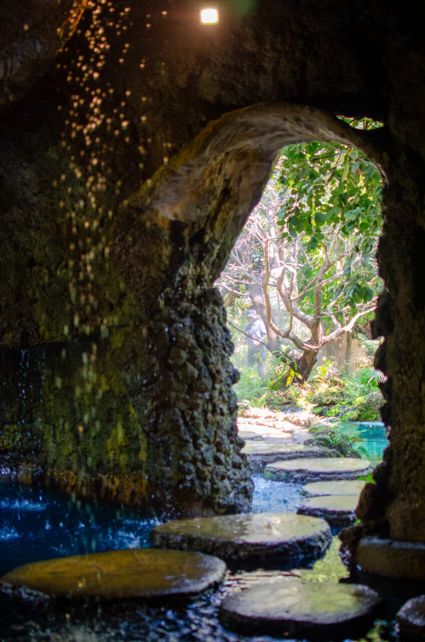 A cave with waterfall and a pond. 