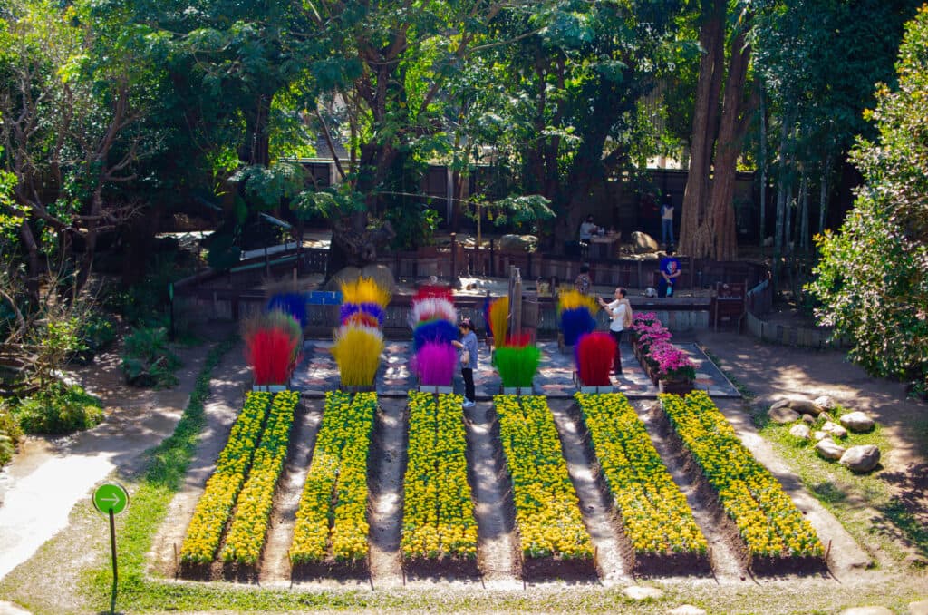 A colourful field in Dantewada Land of Angels Waterfall Park. 