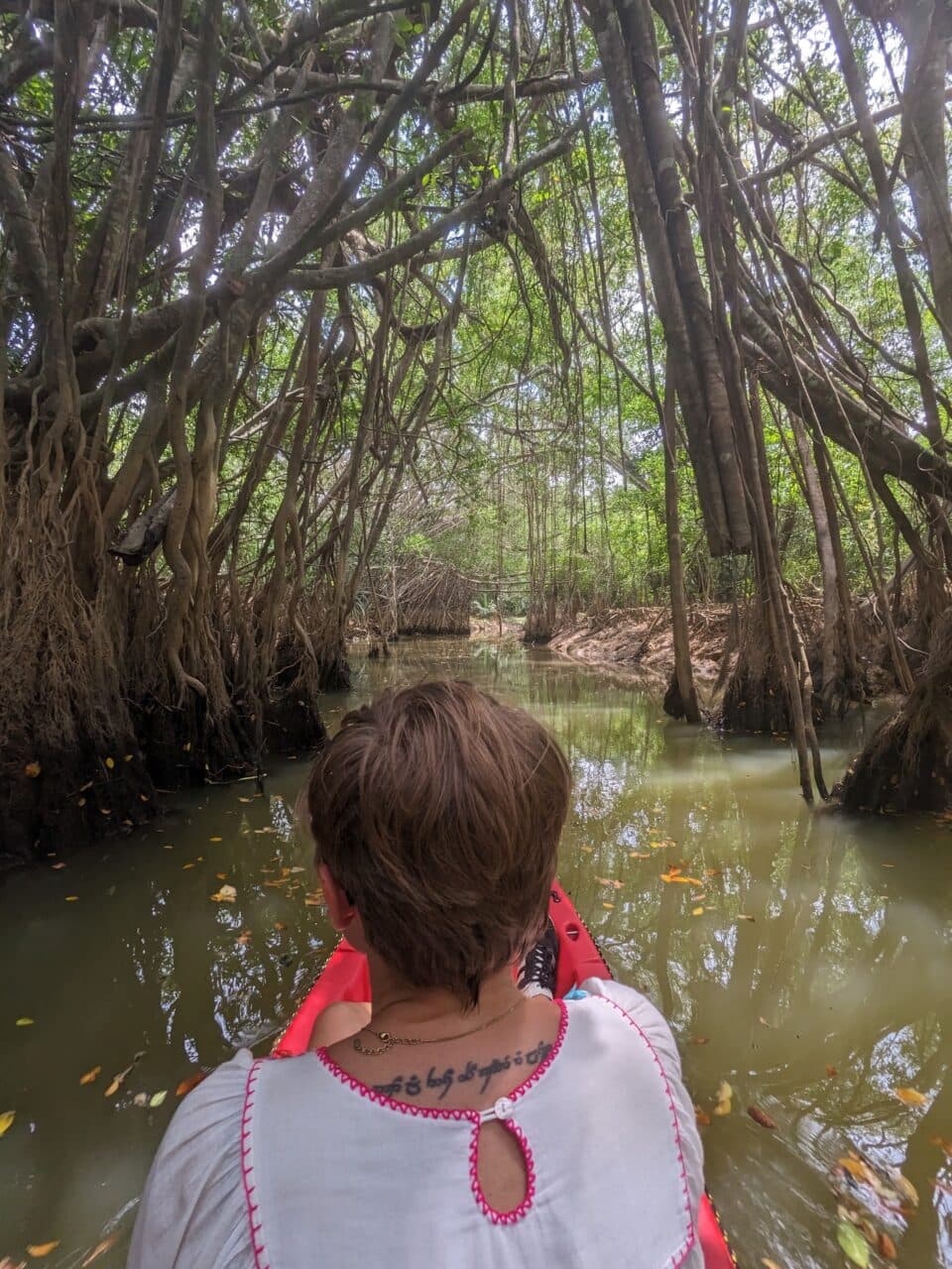 A picture of a woman with short hair sitting on a canoe and sailing through mangrove forest in khao sok park, thai amazon.