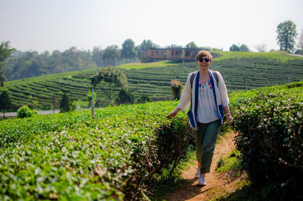 A woman walking, tea plantations in Chiang Rai.