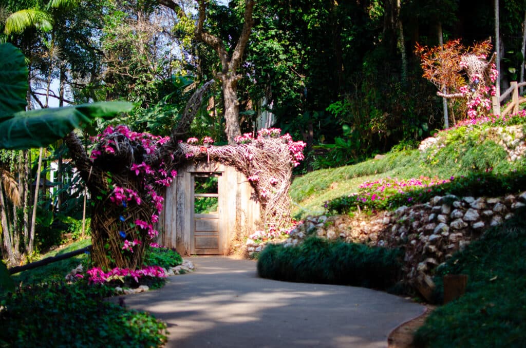 Small door, flowers, green grass