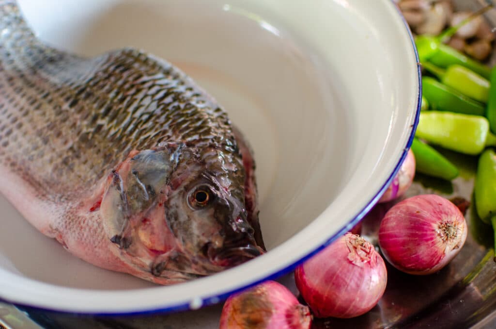 Fish in a bowl with vegetables.