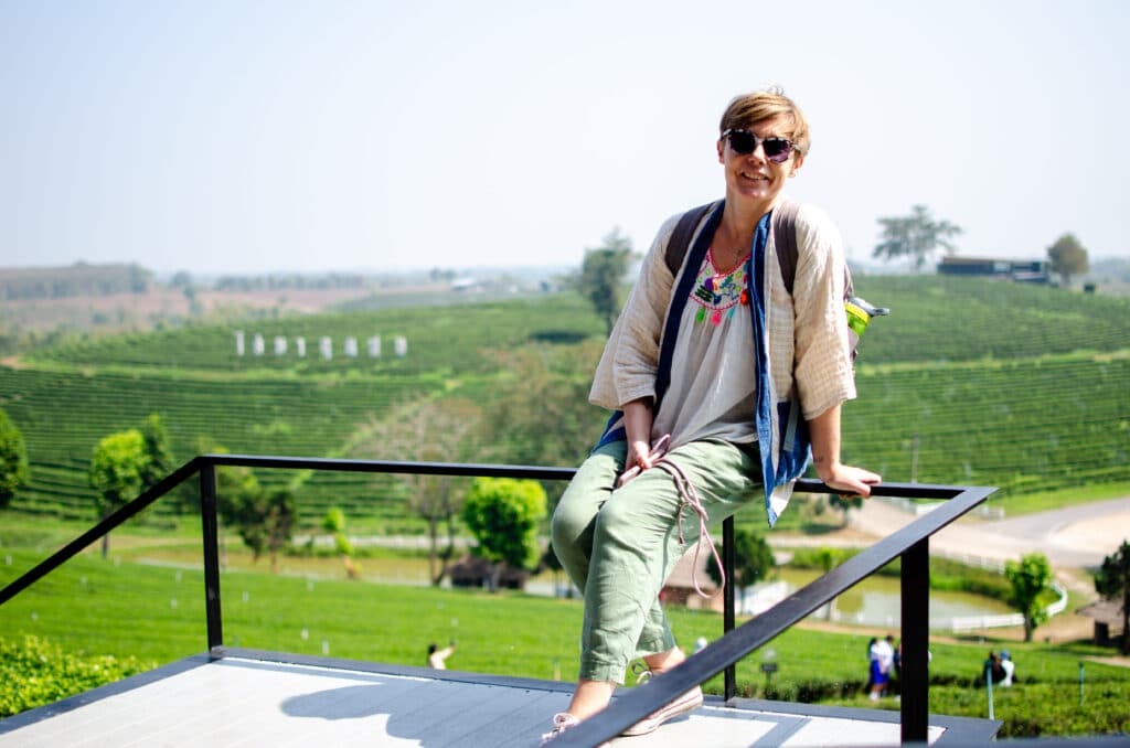 Chiang Rai, tea plantation