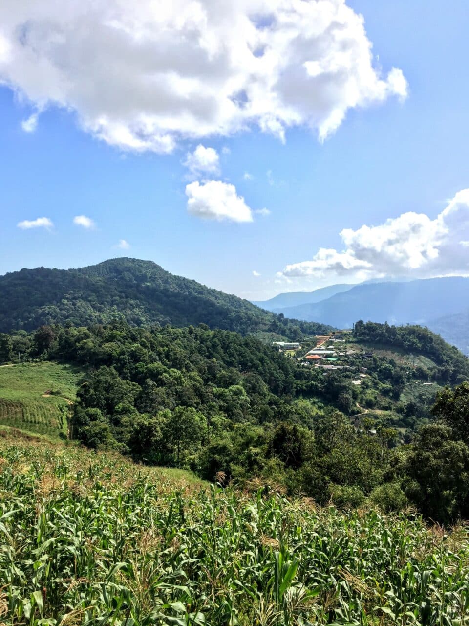 Widok na góry niedaleko Chiang Mai 