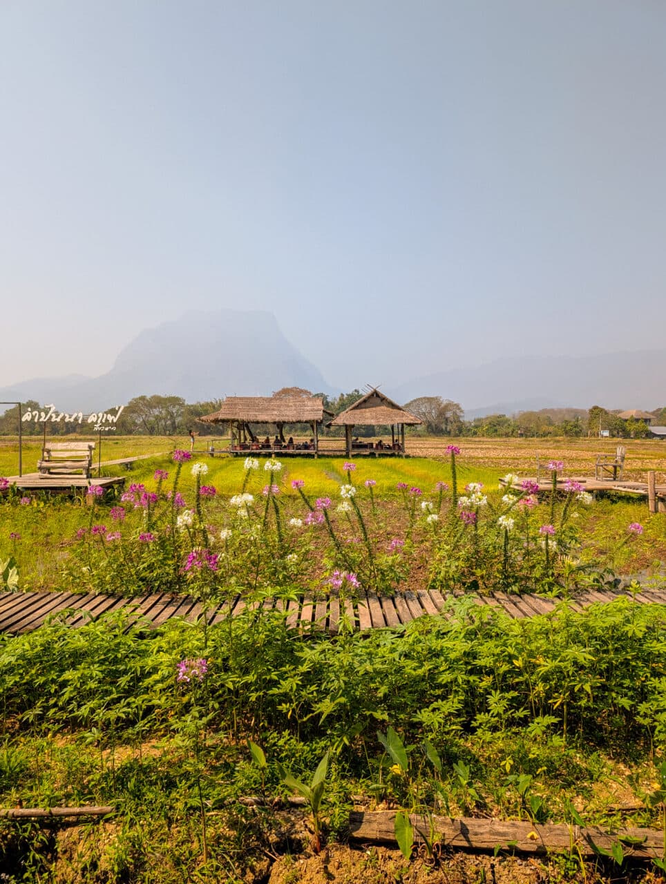 pola ryżowe, Chiang Dao