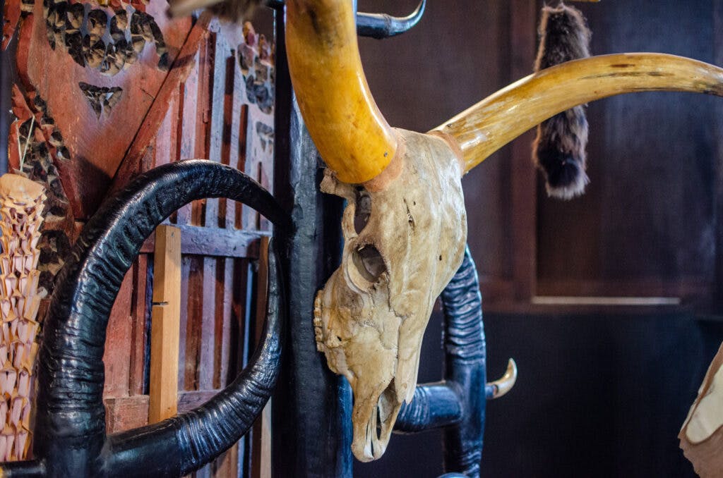 A skull wit horns at the black house, chiang rai. 