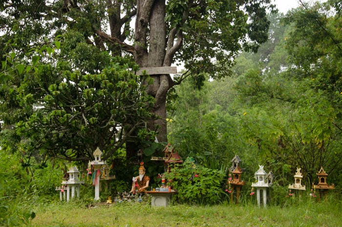 A big tree with small houses and a statue, mae sa valley, chiang mai, thailand. 