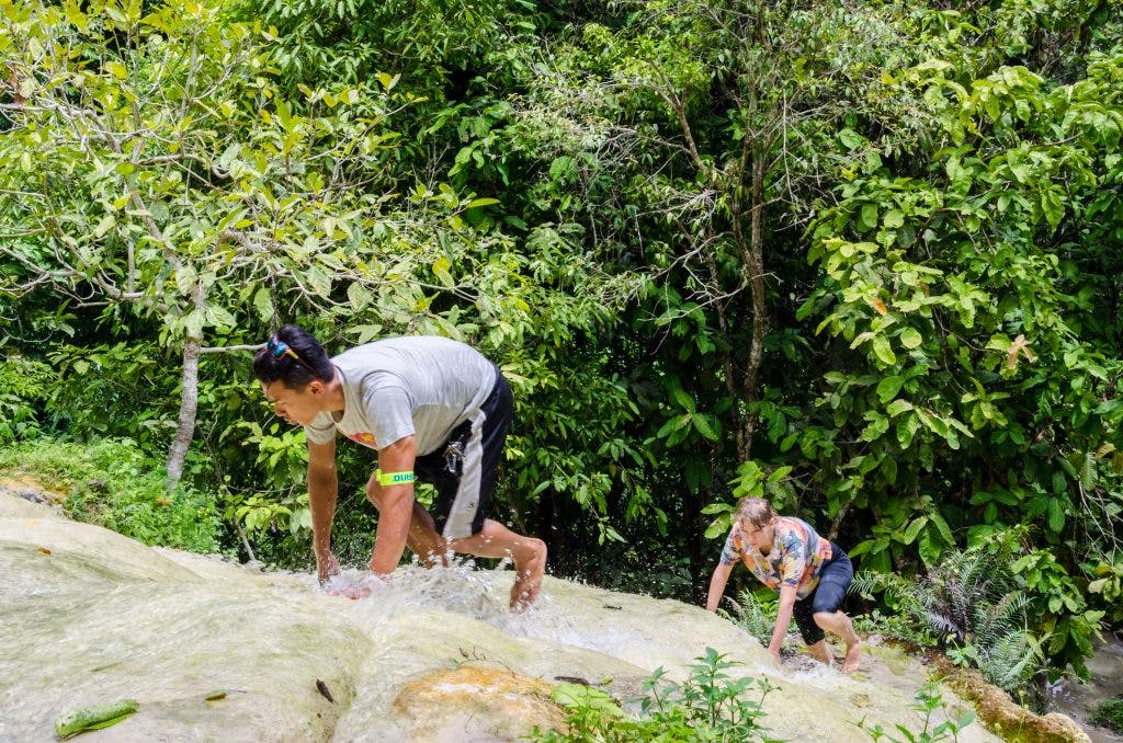 People climbing up the Bua Tong Sticky Waterfalls