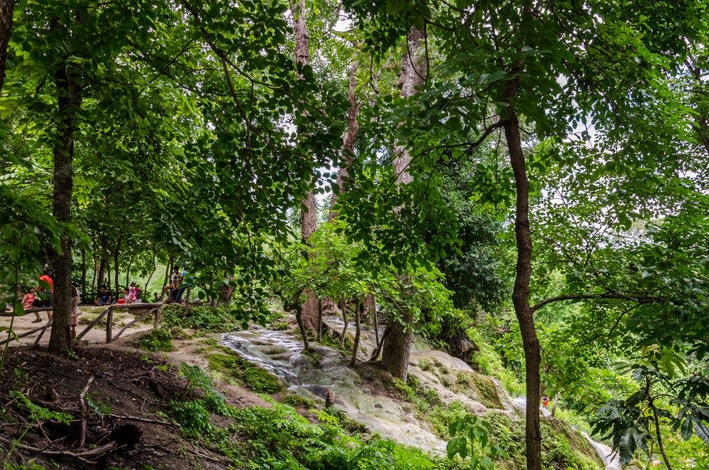 Bua Tong Sticky Waterfalls hidden behind trees