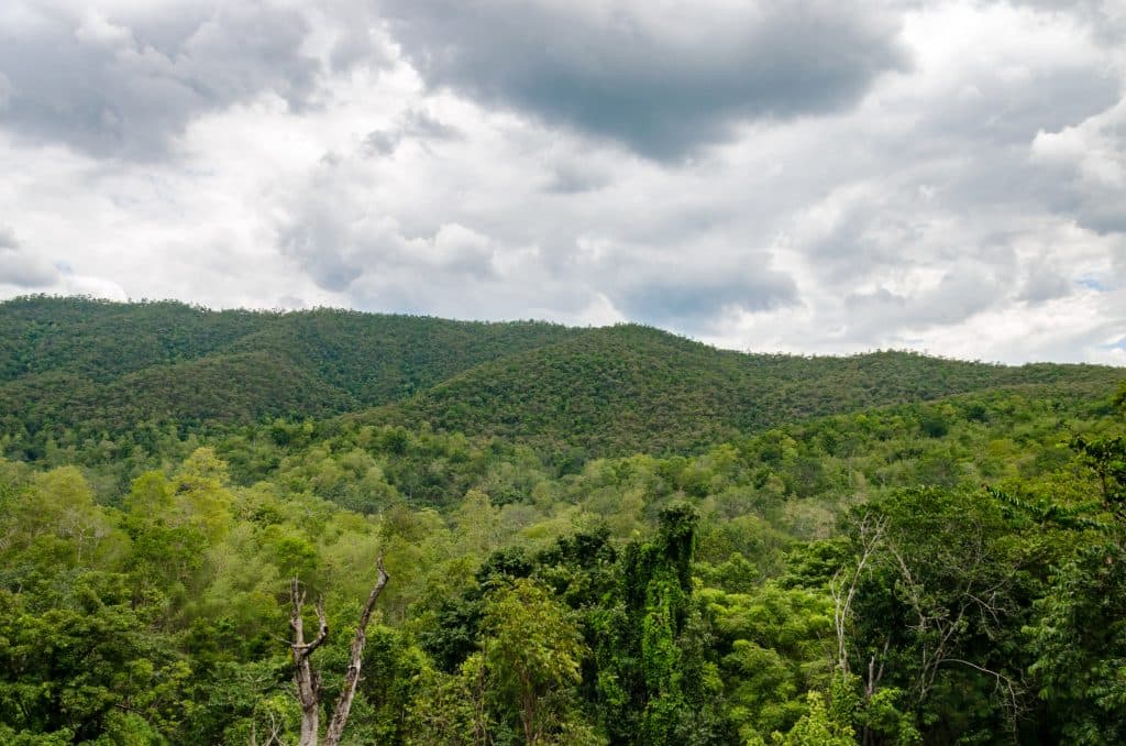 The view from the top of the sticky waterfall