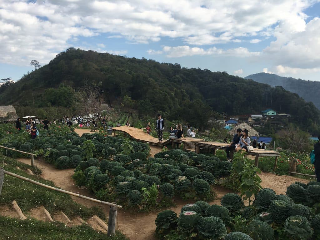 hills and graden nong hoi project