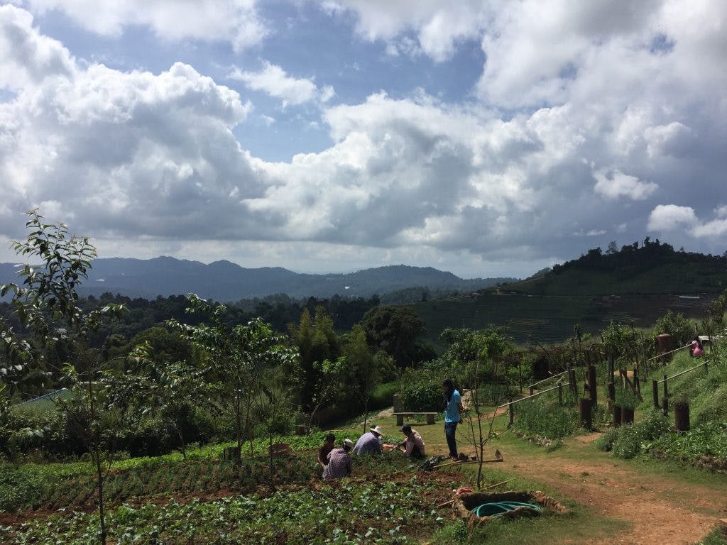 Northern Thailand is full of agricultural Royal Projects