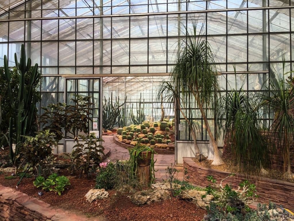 Greenhouse with cacti at Queen Sirikit Botanic Garden in Chiang Mai