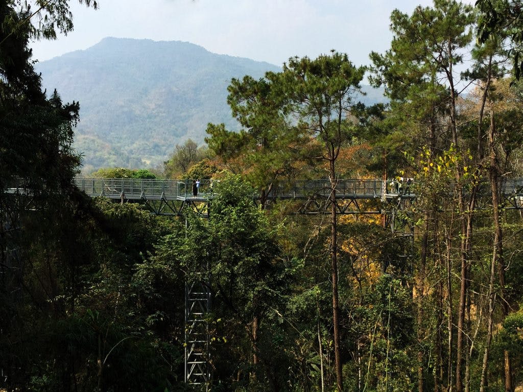 Canopy walkway at Queen Sirikit Botanic Garden in Chiang Mai
