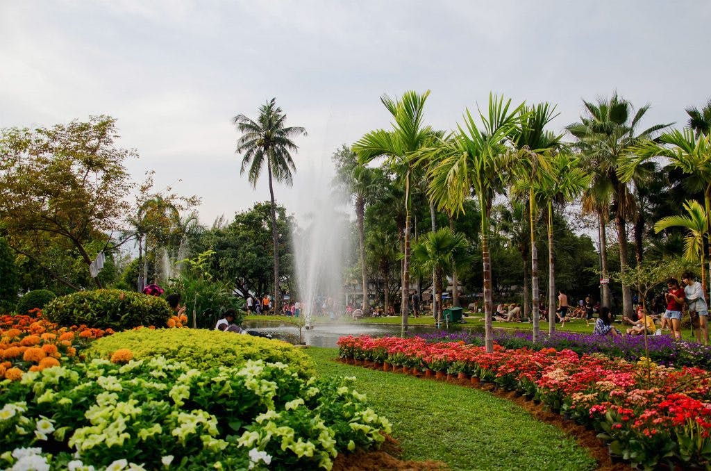 Suan Buak Park in Chiang Mai