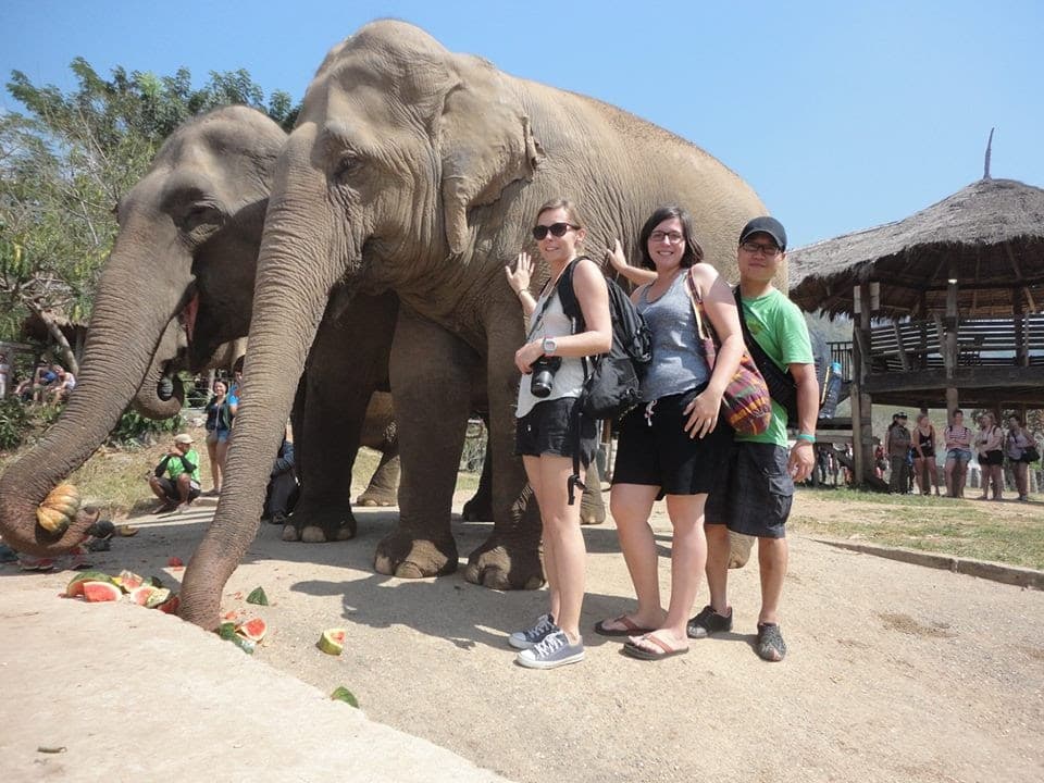 A visit in the Elephant Nature Park will make your holiday very special