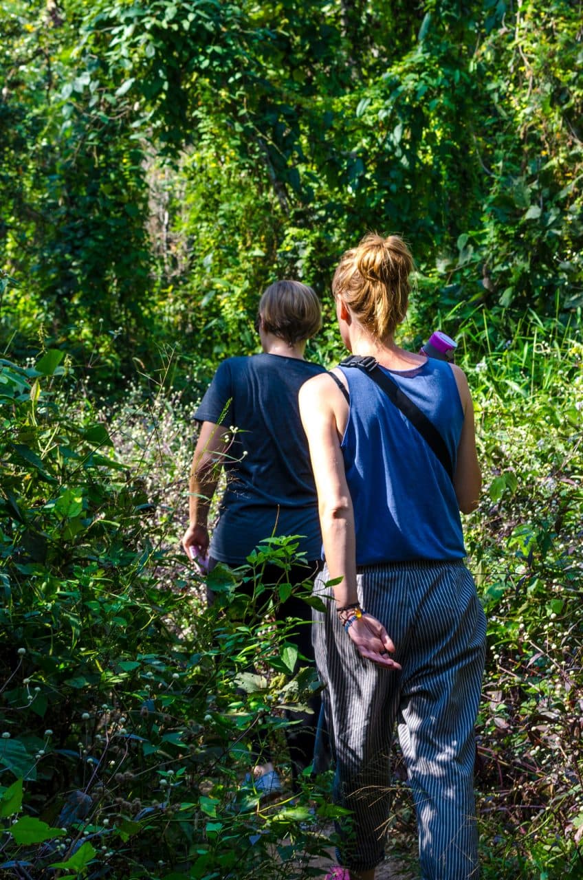 Drzewa trekking do Wat Pha Lat
