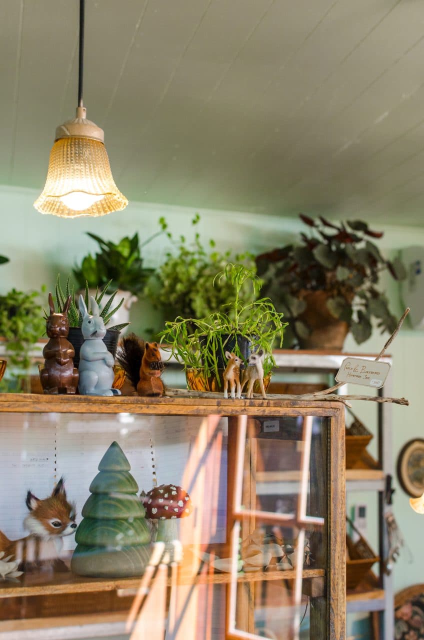 Counter at Forest Bake in Chiang Mai