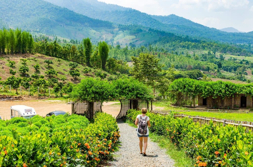 Ogrody wokół Yun Lai.