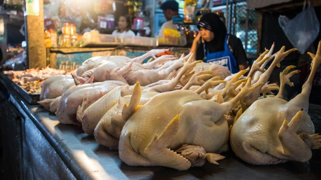 chickens at a street stall in khanom thailand
