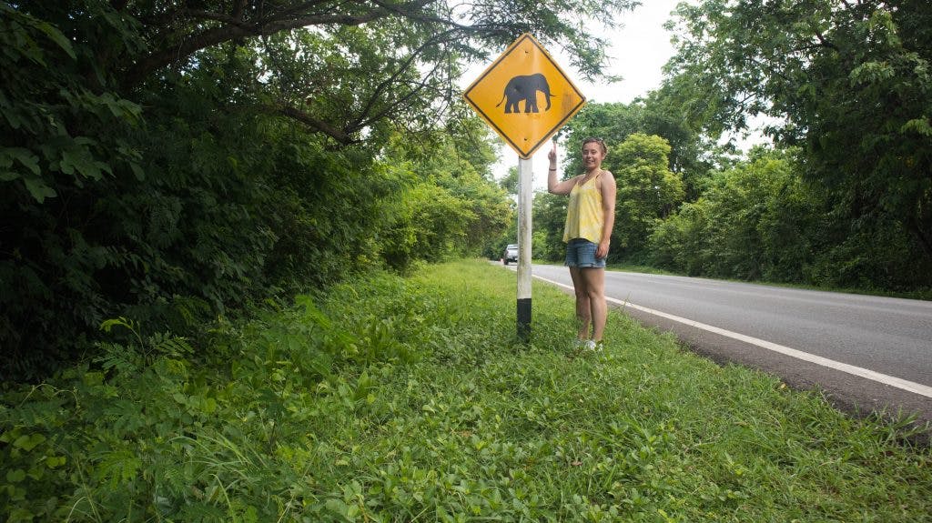 uwaga na słonie - znak na drodze w kanchanaburi