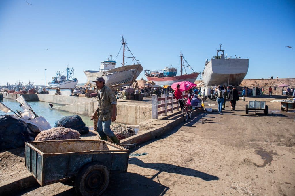 statki i kutry w porcie essaouira pomiędzy stoiskami z rybami.