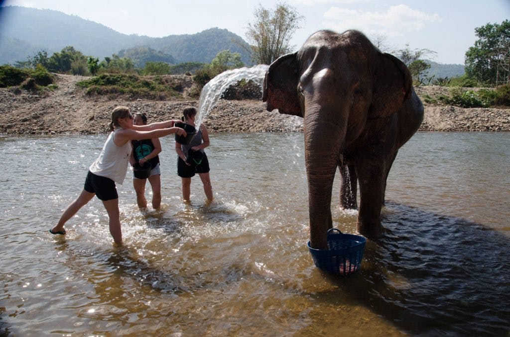 dwie dziewczyny oblewają słonie wiadrami wody 