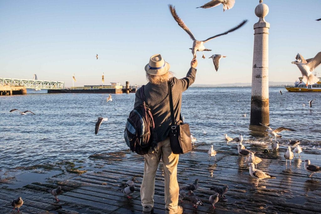 a man feeding seagulls at the tagus river in lisbon 