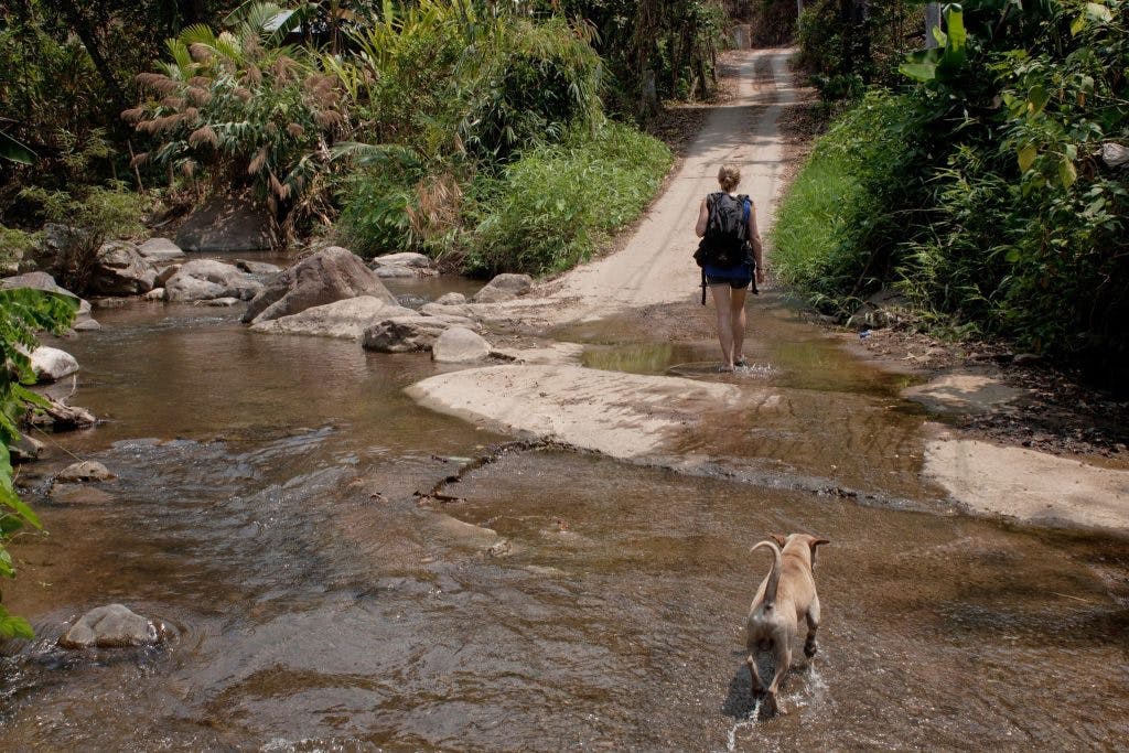 a girl is walking through a stream with a dog following her