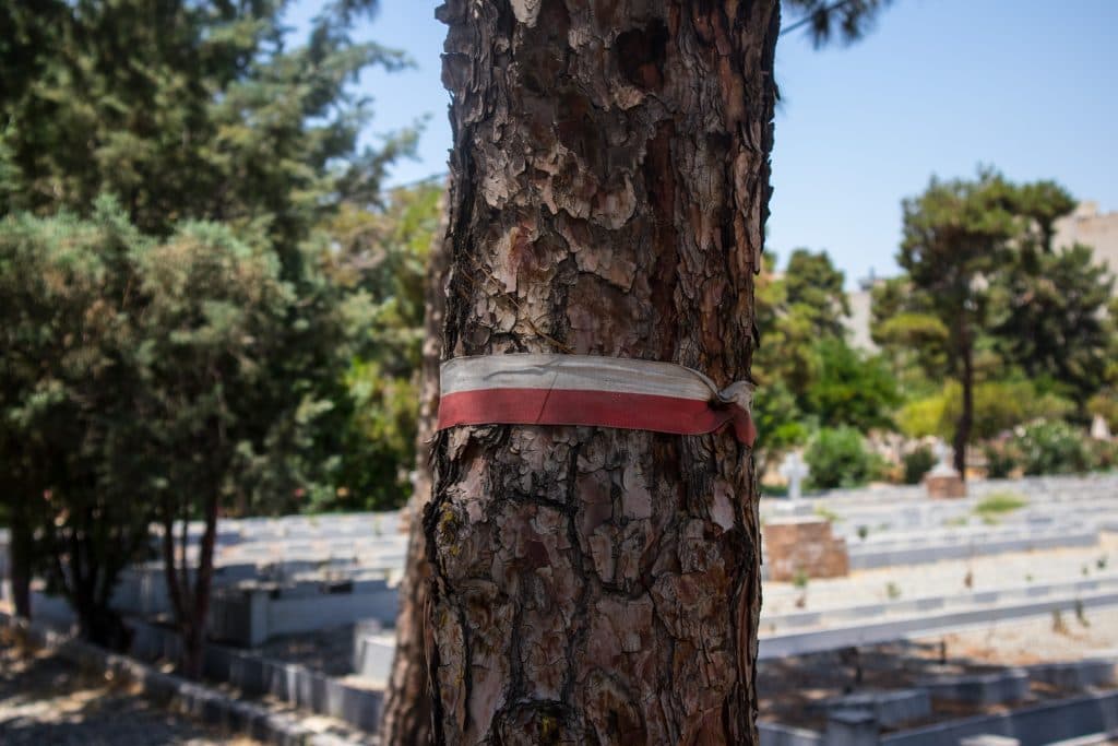 a polish flag on the cemetery in iran