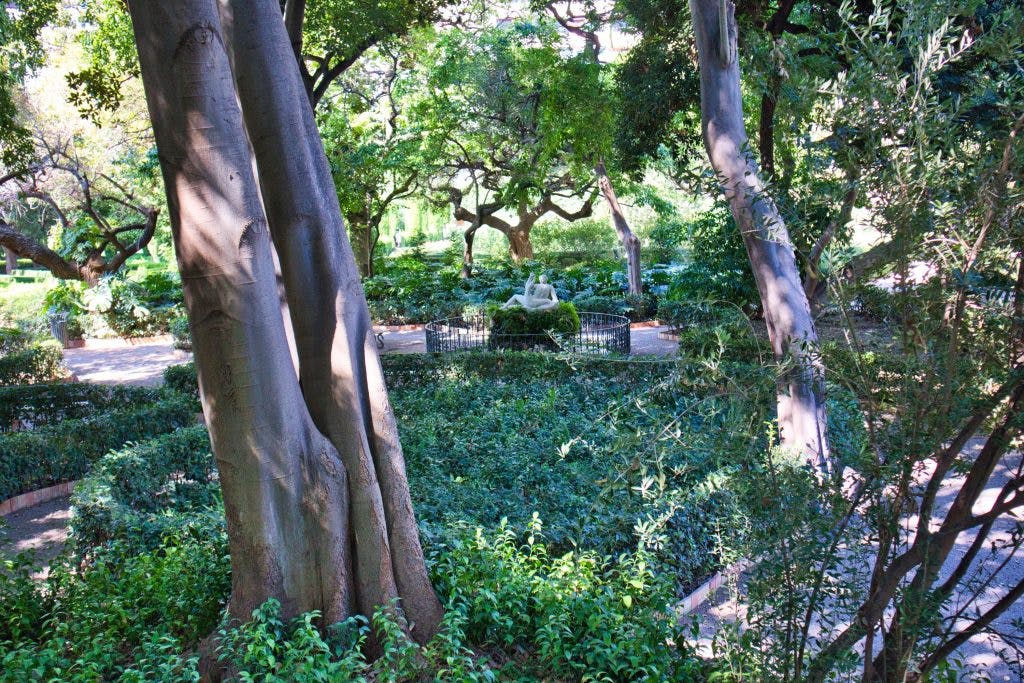 a fountain hidden among lush green trees in a small park in valencia