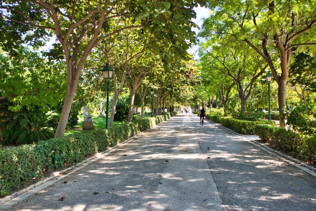 a walking path among trees in a big park in valencia spain