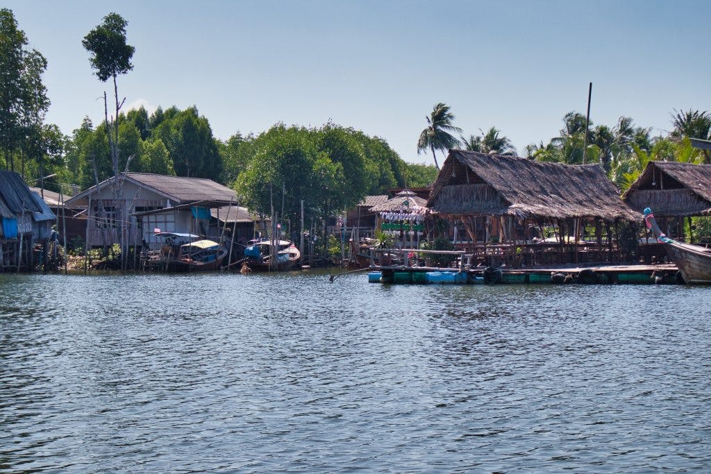huts seen from a long tail boat on a river in krabi, thailand. 