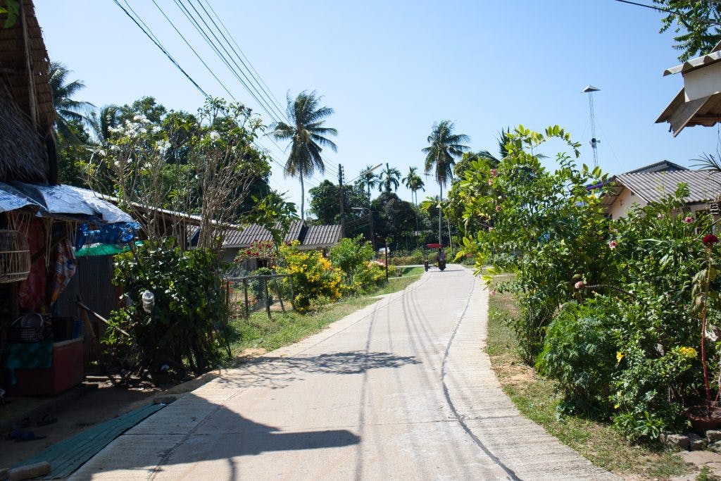 pusta droga, otoczona drzewami i małymi domkami w wiosce na wyspie koh klang, krabi. 