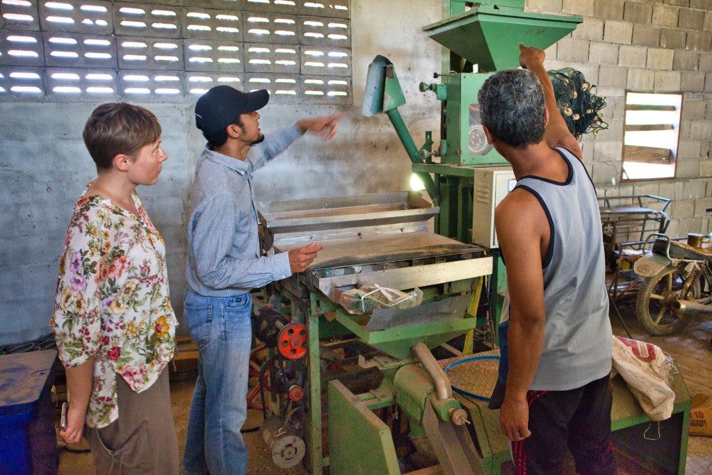 dwaj tajscy mężczyźni pokazują białej turystce jak używać maszyn do produkcji ryżu 