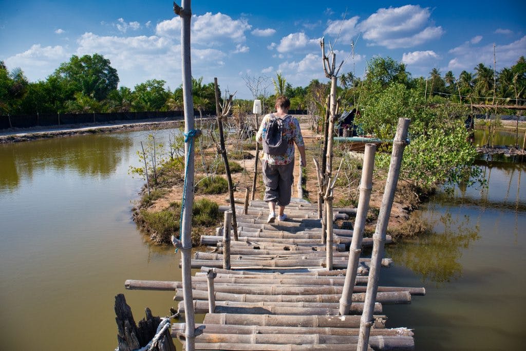 a woman walks on a wooden bridge in koh klang, krabi, thailand