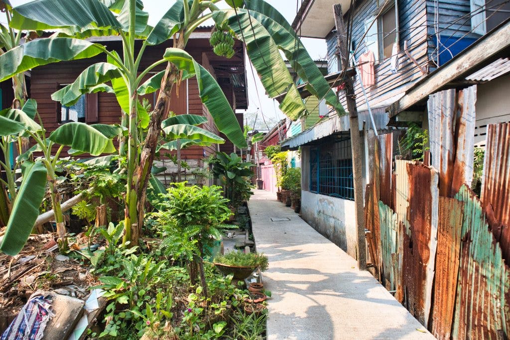 a narrow lane on koh kret island with green banana trees and small houses. 