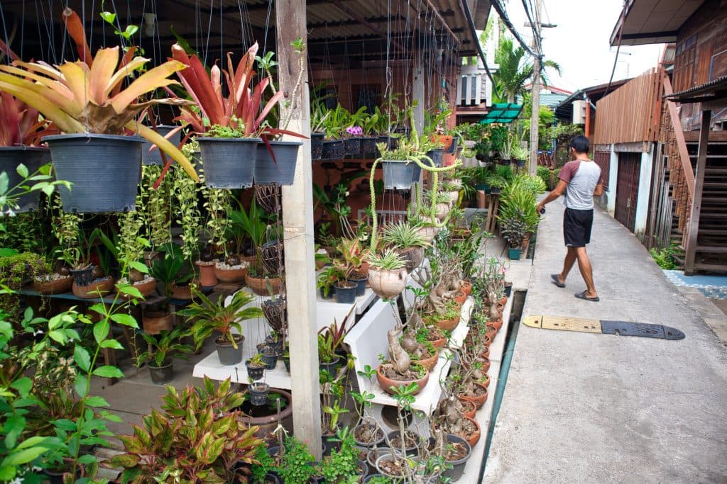 a man walks across the street on koh kret, bangkok. the street is lined with pottery vases and plants.