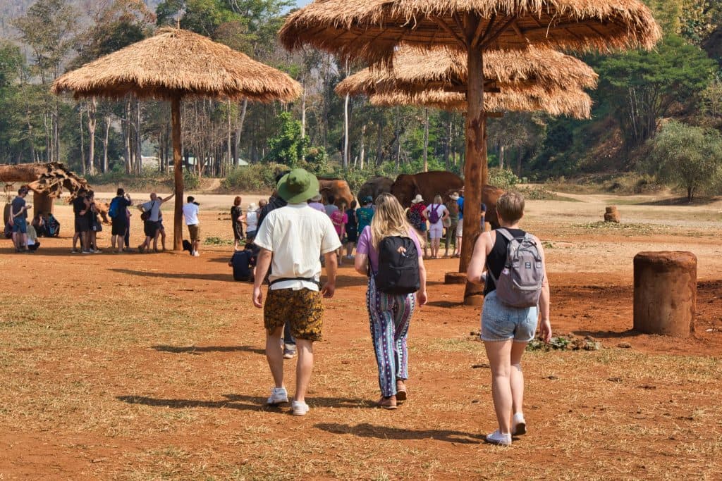 a group of tourists walking at elephant nature park