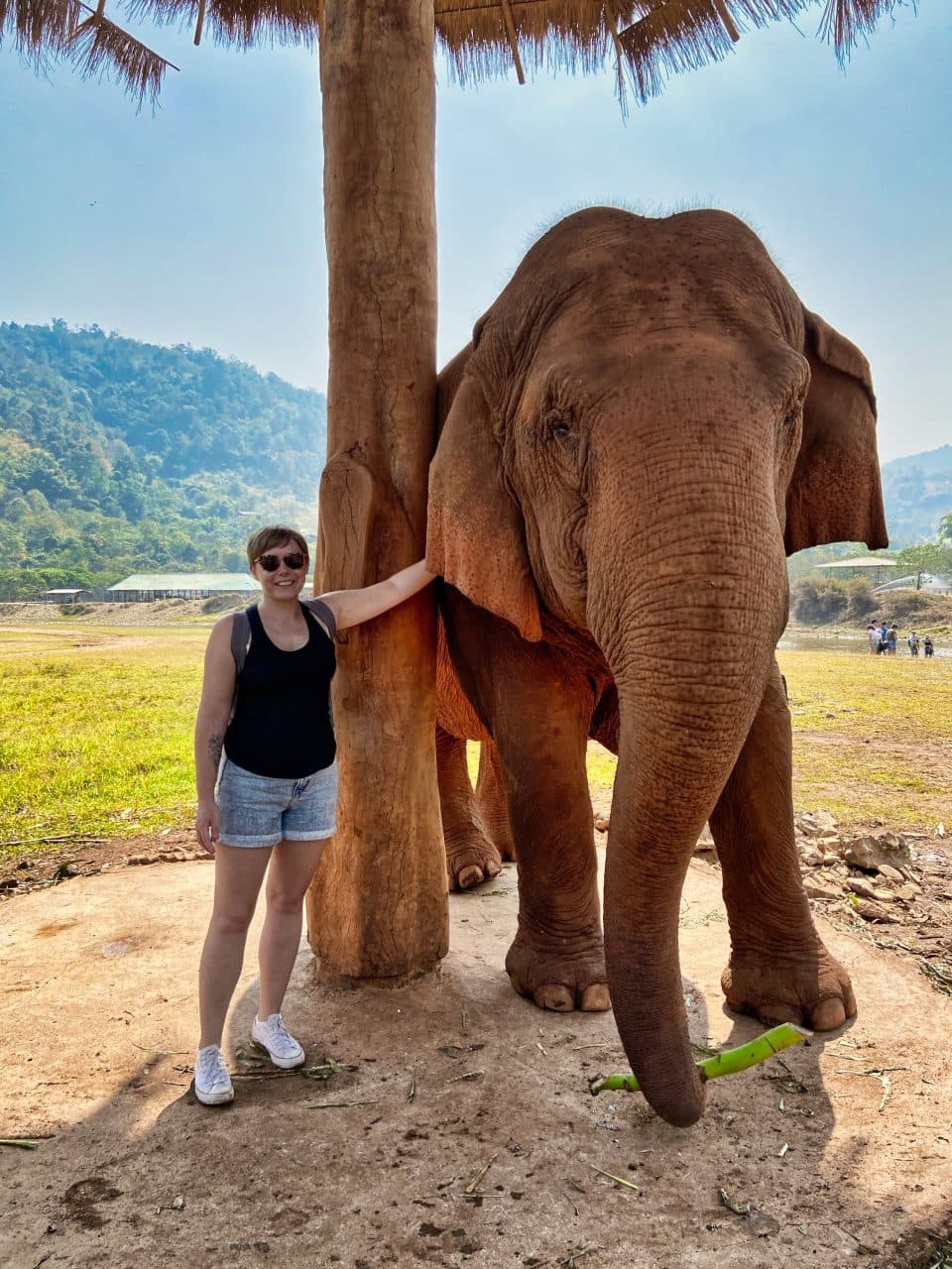 a girl standing next to an elephant at elephant nature park
