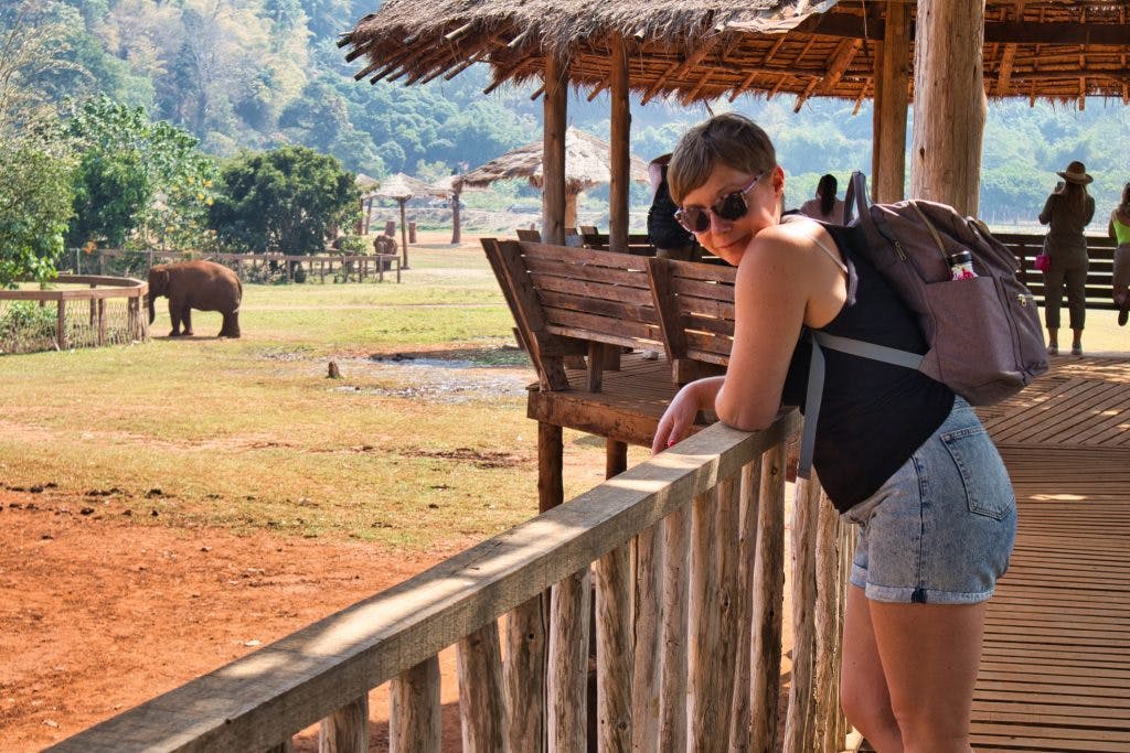 a woman watching elephants from afar at elephant nature park
